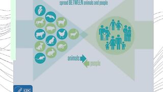 "Understanding the Difference between Disease and Syndrome"