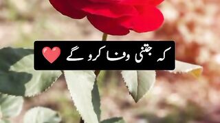 bas ak hi sabaq sekha zindage se poetry video 3