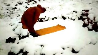 Salah In Ice fall | beautiful Qirat