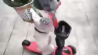 Best funniest videos of 2022????