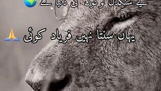 urdu sad portry