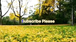 Meditation video ll Relaxed Music ll Sleeping music ll