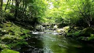 Relaxing music