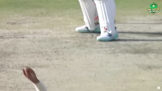 Top Catches
