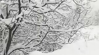 Kashmir snowfall