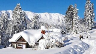 KASHMIR BEAUTY