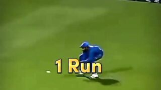 Cricket fans