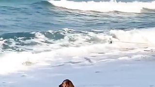Emotional dog heheh | follow