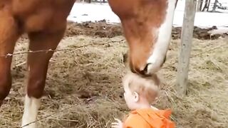 "Adorable Moment: Little Boy and Horse Share a Sweet Kiss"