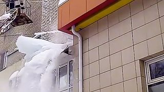 Funny videos laugh