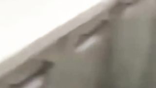 Funny animals cats and dogs video