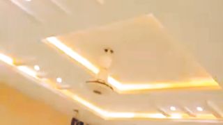 ceiling living design video on febspot  ceiling fans video