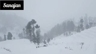 Snow falls in 2023