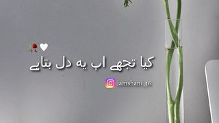 Kia ab tujhy ye dil batae
