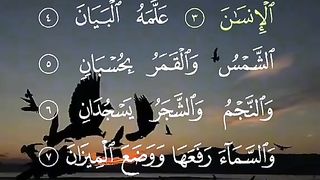تلاوت قرآن مجید