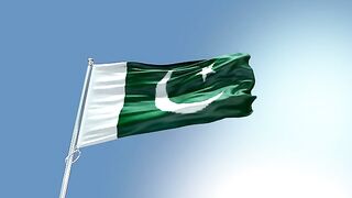 Pakistani Flag