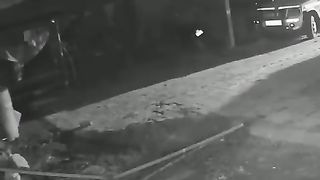 Watch a farmer save a calf from a lion