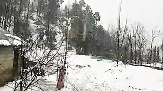 Snowfalling