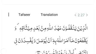 Surah Albaqarah Ayat 26-30 with urdu translation
