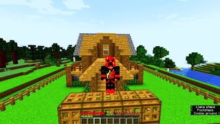 Going to Nether in Minecraft