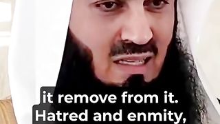 Mufti Menk motivational lines