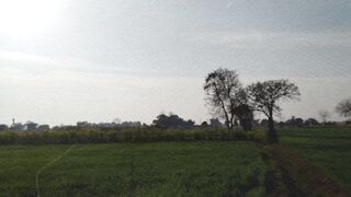 Village life