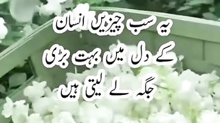 Urdu status video best ever