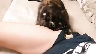 I won't give you Dad.