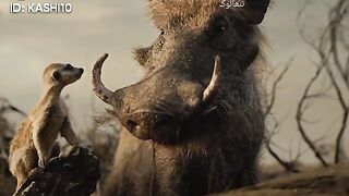 The loin king | movie clip