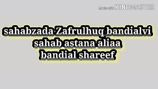 Sahab Zada Muhammad Zafrulhuq bandialvi sahab