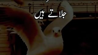 Islamic content please follow