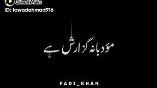 Mashuk se kisy guzarish krty hen