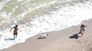 Dog playing on beach