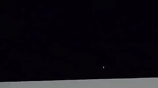 cricket short video