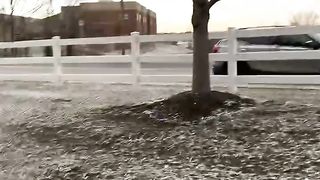 Snow day