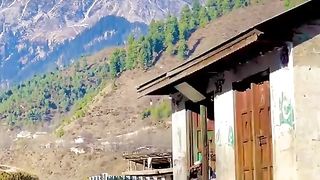 Payara Pakistan