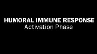 Humoral Immune Response: Immunology