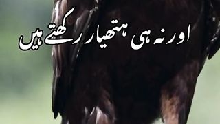 Na GF Na Pesa Na Ghary