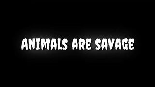 Savage wild animals , funny animals attacking people compilation