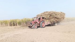 Belarus tractor very amazing video
