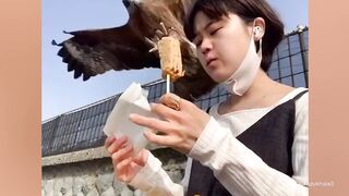 인상적인 동물을 무서워하는 재미있는 사람들 ???? 재미있는 비디오 2021.
