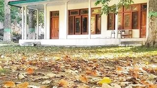 میرا پیارا پاکستان