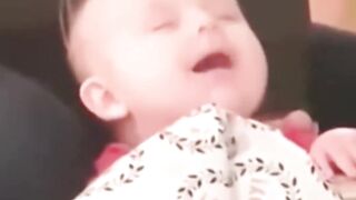 Funny videos