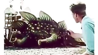 this is great video