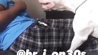 Barking dog on Boy