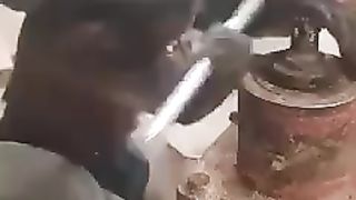 Monkey Funny videos