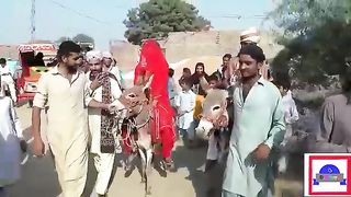 Funny Wedding