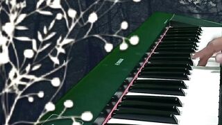 Franz Schubert Serenade