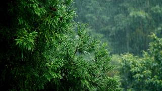 Soothing music for complete relaxation