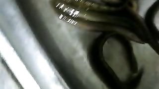 Fish party
